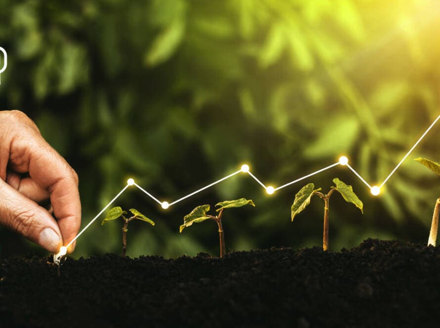 Şirket Değerlemesi Nedir? Nasıl Belirlenir?