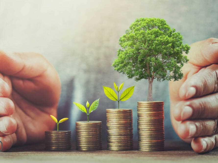 “Yatırımcı Arıyorum” Diyorsan Bu İpuçları Sana