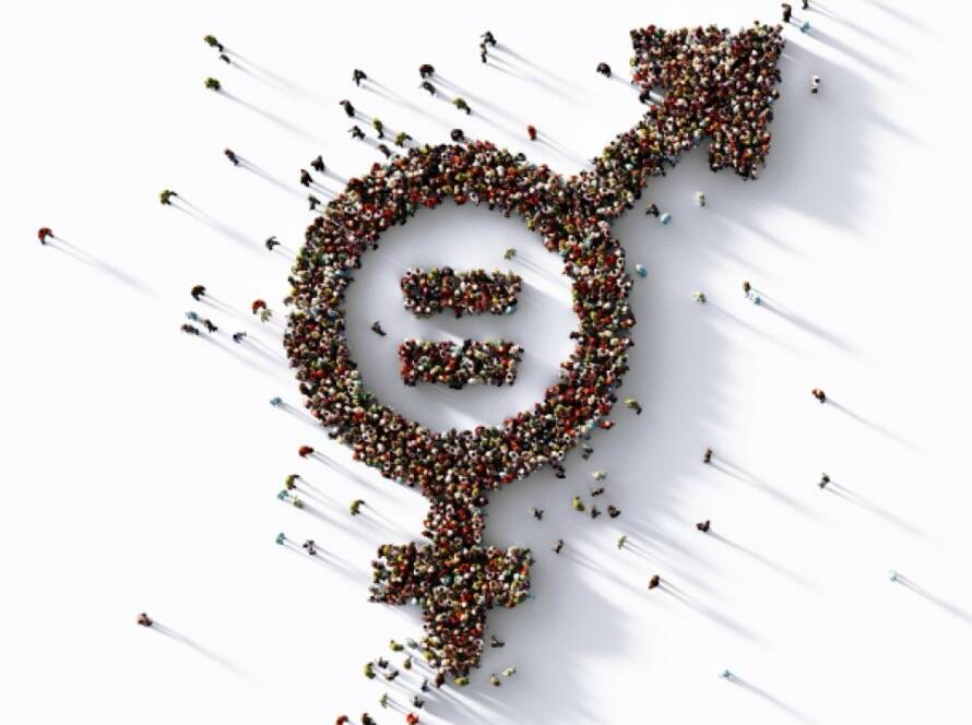 Toplumsal Cinsiyet Eşitliği ve İş Dünyasında Kadın Girişimciliği